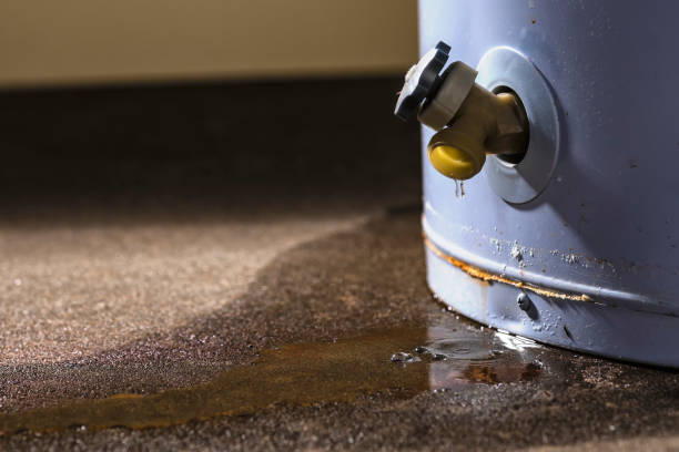 Best Commercial water damage restoration  in Marshall, MN
