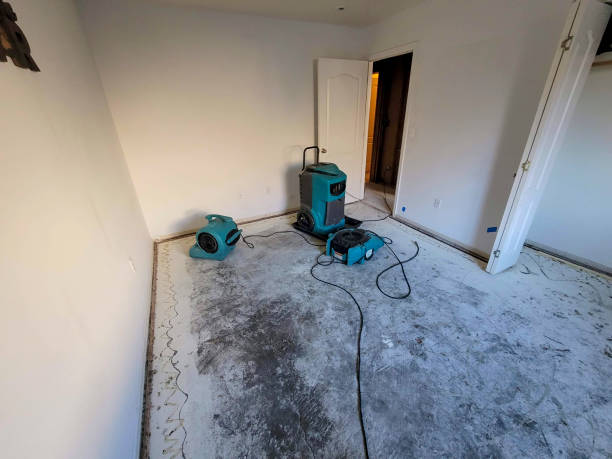 Best Emergency water damage restoration  in Marshall, MN