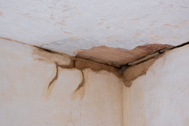 Best Flood restoration services  in Marshall, MN