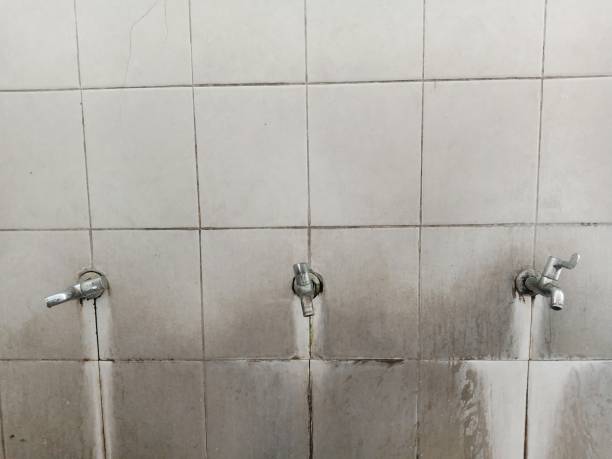 Best Local water damage restoration  in Marshall, MN