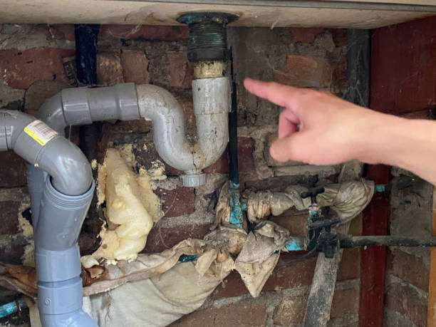 Best Water damage restoration company  in Marshall, MN